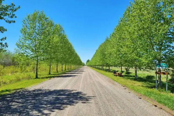 projet de rechargement de 172 100 tonnes sur 52km 05